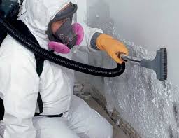 Best Mold Prevention Services in USA